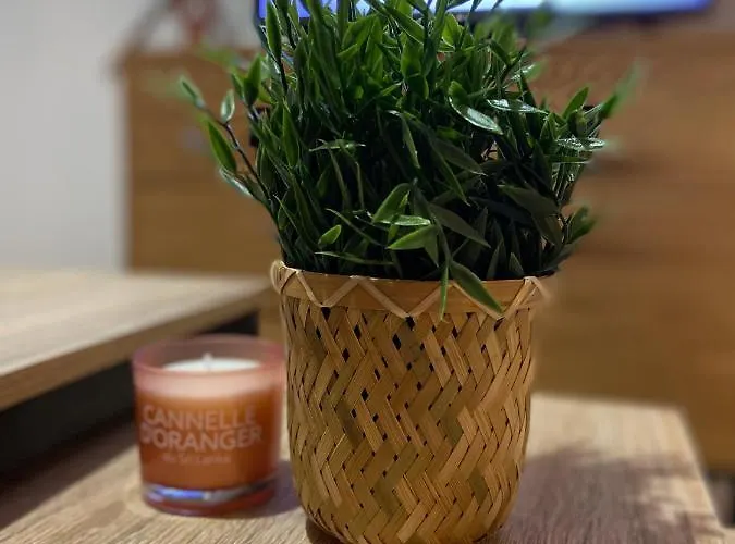 Le Terracotta - Confort En Plein Centre * Montaigu-Vendee