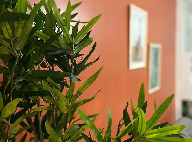 Apartamento Le Terracotta - Confort En Plein Centre